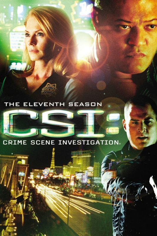 Les Experts saison 11